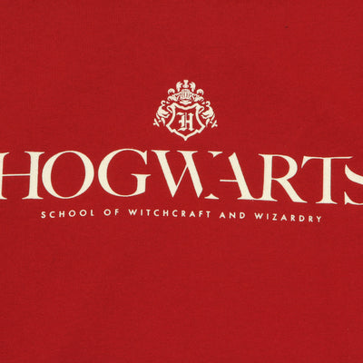 SPAO x Harry Potter - Hogwarts School Sweater