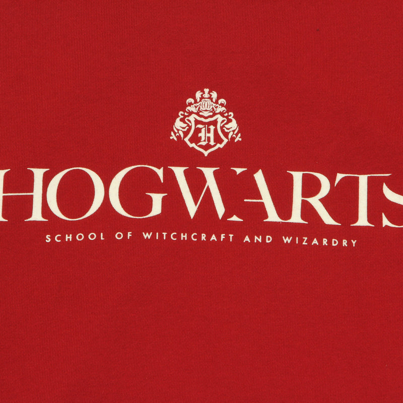 SPAO x Harry Potter - Hogwarts School Sweater