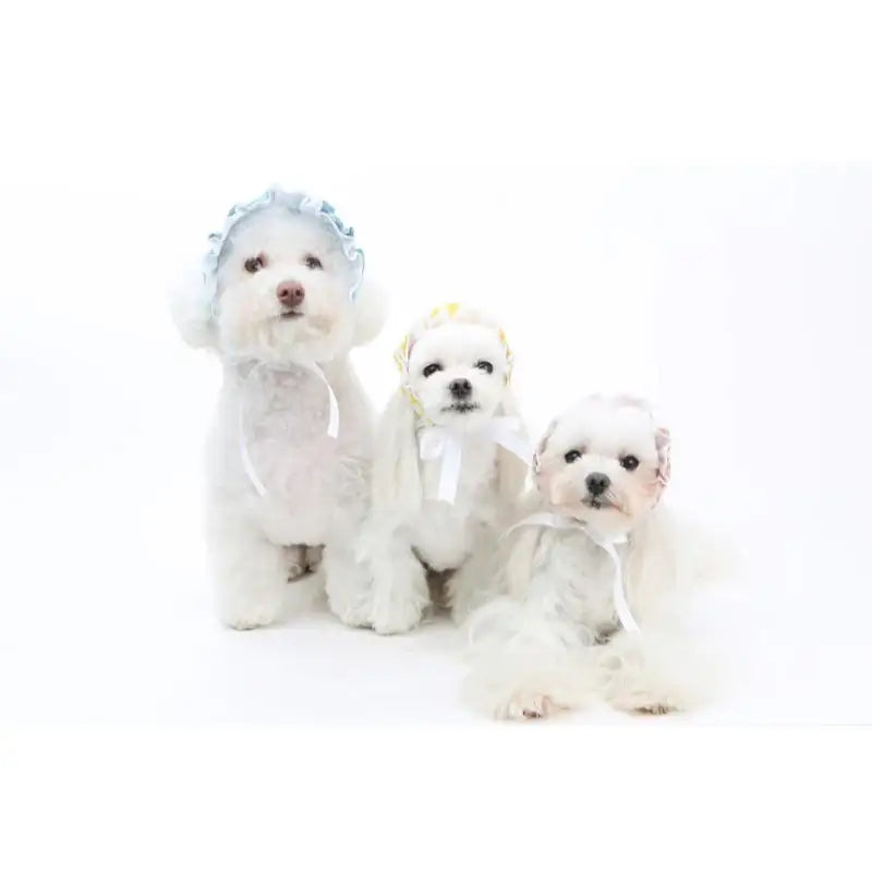 ITSDOG - Pet Blossom Bonnet - ITSDOG - Pet Accesories - Harumio
