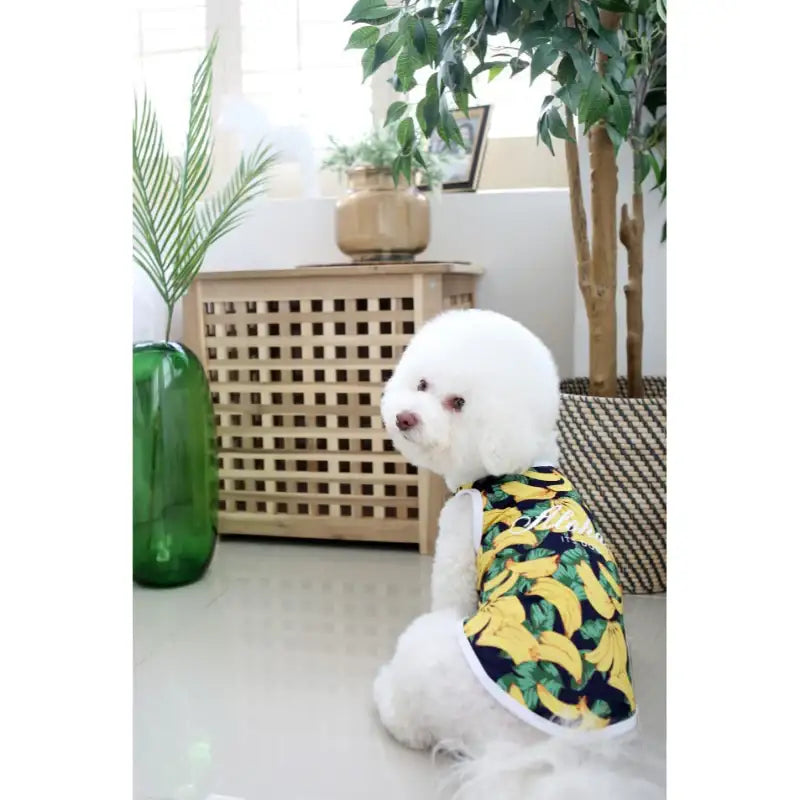 ITSDOG - Pet Aloha Rash Guard - ITSDOG - Pet Clothes - Harumio