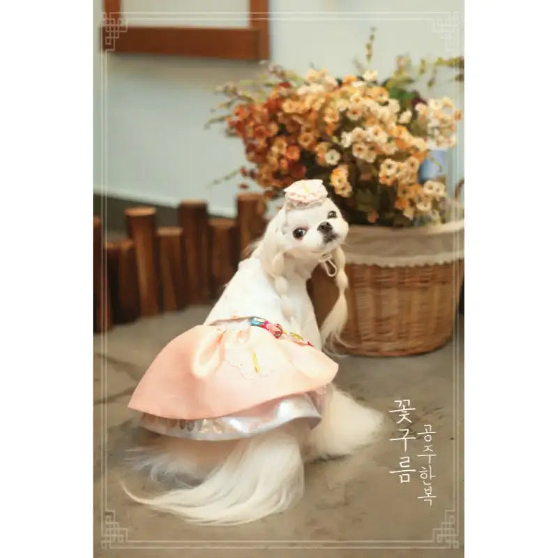 ITSDOG - Pet Flower Cloud Princess Hanbok - ITSDOG - Pet Clothes - Harumio