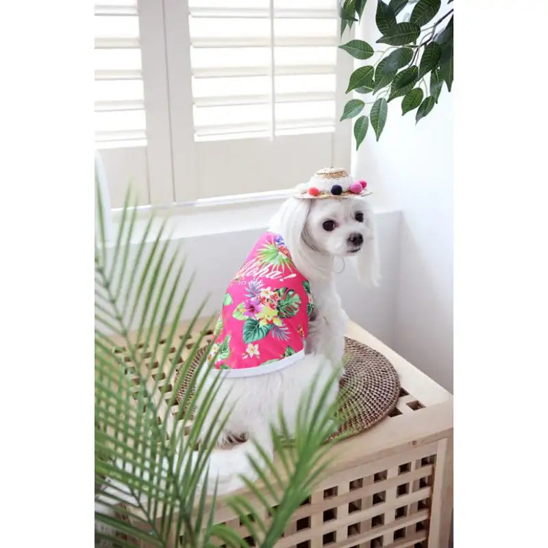ITSDOG - Pet Aloha Rash Guard - ITSDOG - Pet Clothes - Harumio