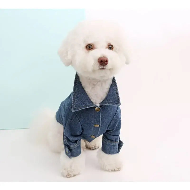 ITSDOG - Pet Pink Panther Denim Washing Shirt - ITSDOG - Pet Clothes - Harumio