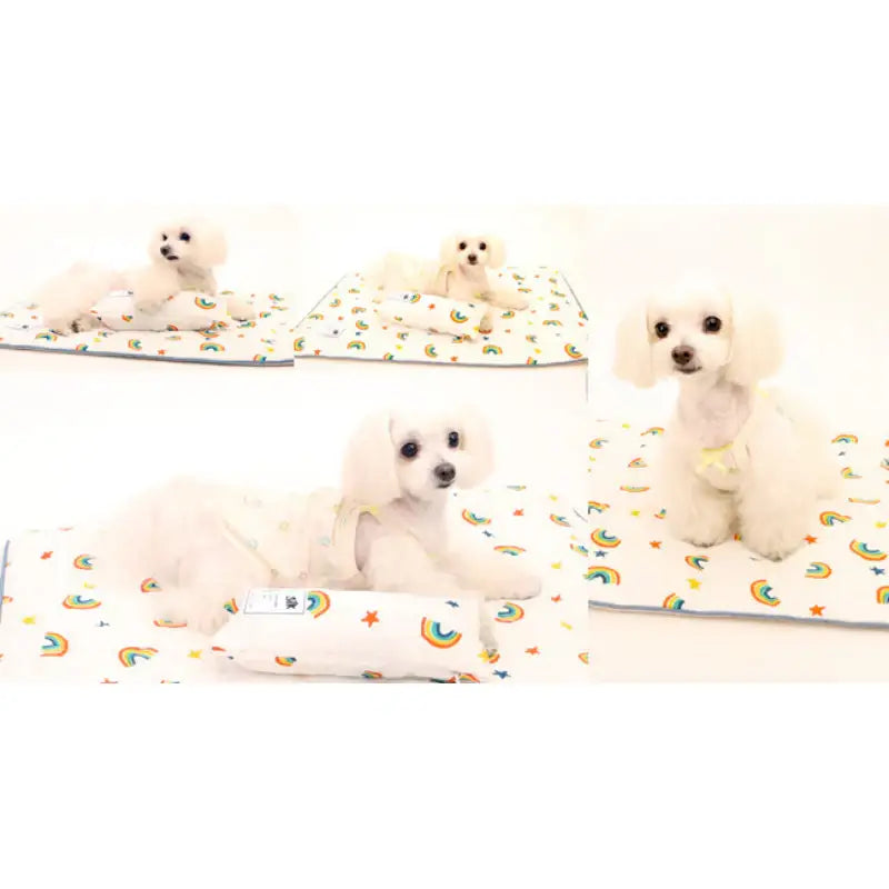 ITSDOG - Dog Cooling Mat - ITSDOG - Pet Accesories - Harumio
