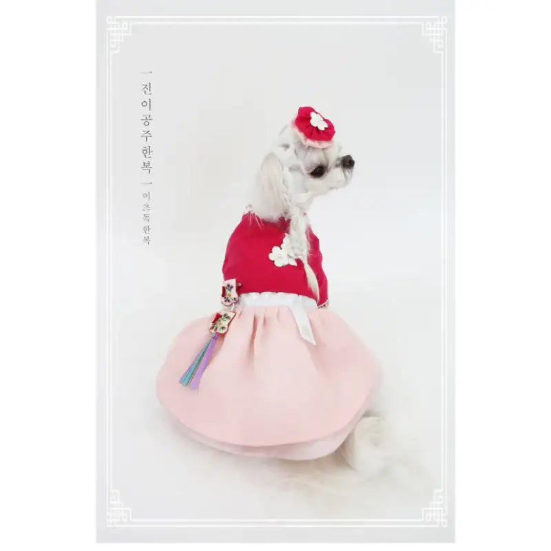 ITSDOG - Pet Princess Jini Hanbok