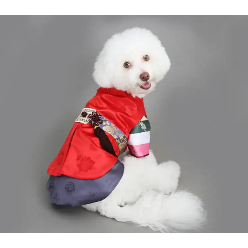 ITSDOG - Pet Colorful Striped Prince Hanbok - ITSDOG - Pet Clothes - Harumio