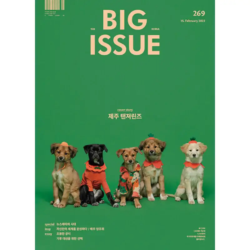 Big Issue - No.269 2022 - Magazine Cover Jeju Tangerines - Big Issue Korea - Magazine - Harumio