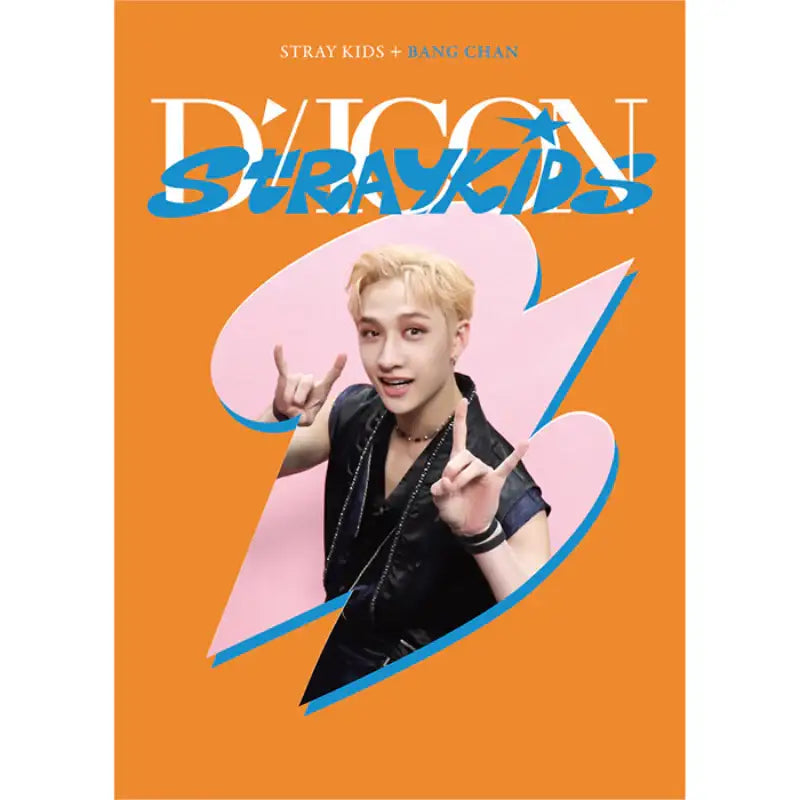 DICON - D’FESTA Mini Edition Stray Kids - Dicon - Magazines - Harumio