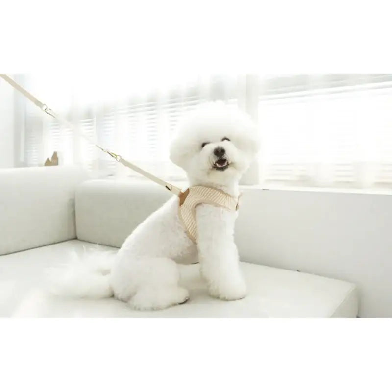 ITSDOG - Pet Organic Bunny Checked Harness (L) - ITSDOG - Pet Accesories - Harumio
