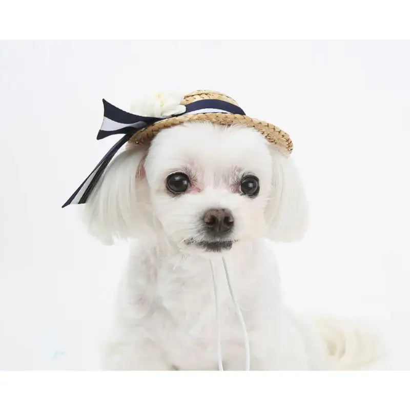 ITSDOG - Pet Straw Hat - ITSDOG - Pet Accesories - Harumio