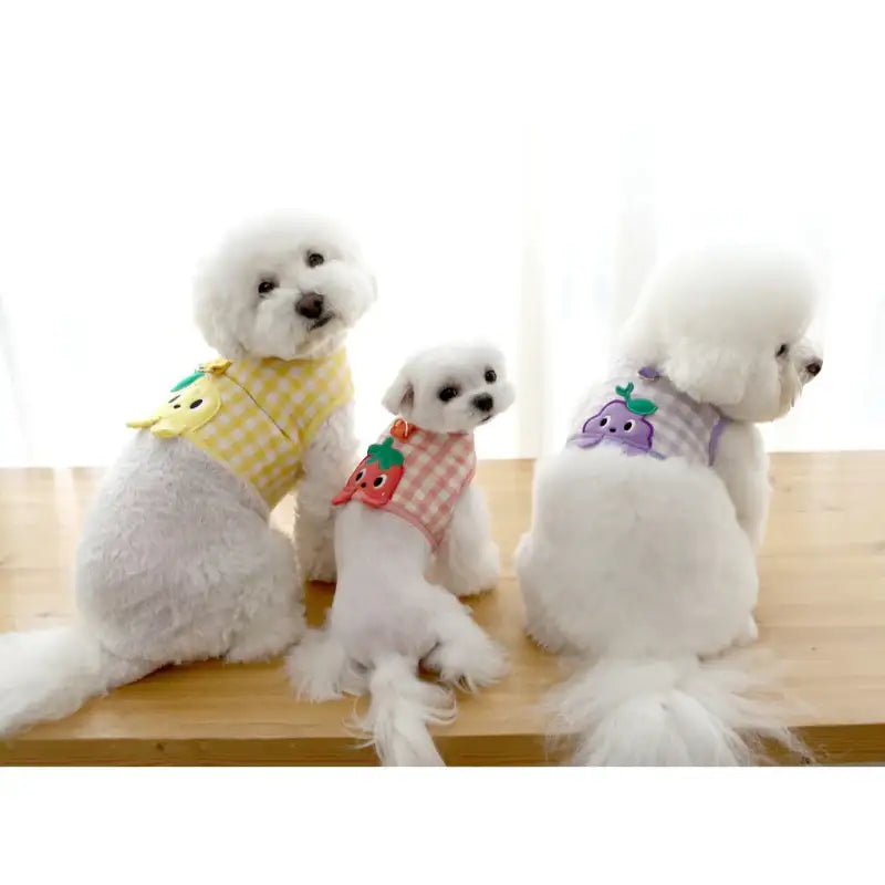ITSDOG - Pet Jam Jam Peekaboo Harness - ITSDOG - Pet Accesories - Harumio