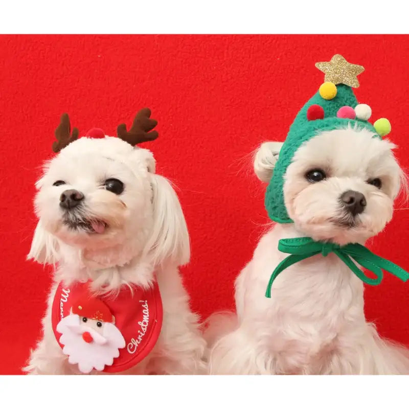 ITSDOG - Pet Christmas Hat - ITSDOG - Pet Accesories - Harumio