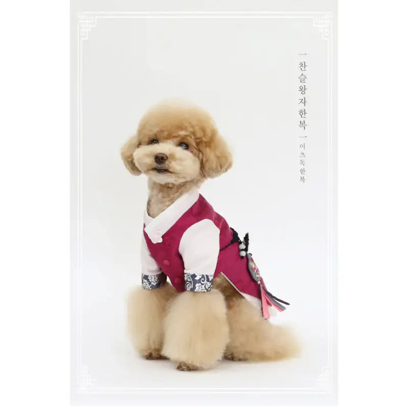 ITSDOG - Pet Prince Chanseul Hanbok - ITSDOG - Pet Clothes - Harumio