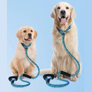 Yog!ssw - Dog P-Shaped All-In-One Lead Leash - Jungle Monster - Pet - Harumio