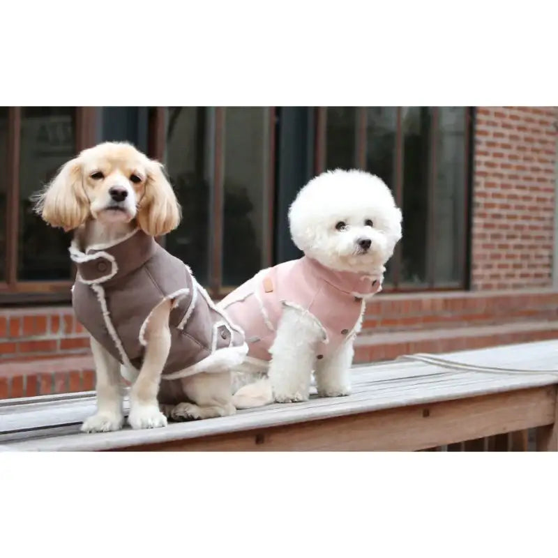 ITSDOG - Pet Snow Latte Mouton Vest - ITSDOG - Pet Clothes - Harumio