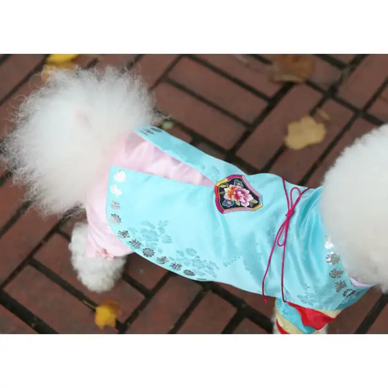 ITSDOG - Pet Solbit Colorful Striped Prince Hanbok - ITSDOG - Pet Clothes - Harumio
