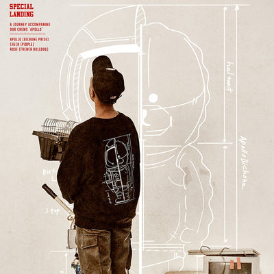 Beyond Closet - Apollo Collection Design Lab Logo Sweatshirts
