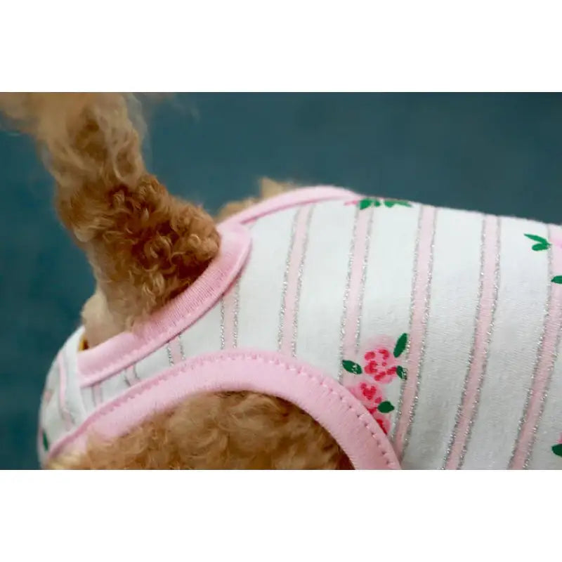ITSDOG - Pet Dog Shy Shy Pink Sanitary Panty - ITSDOG - Pet Clothes - Harumio