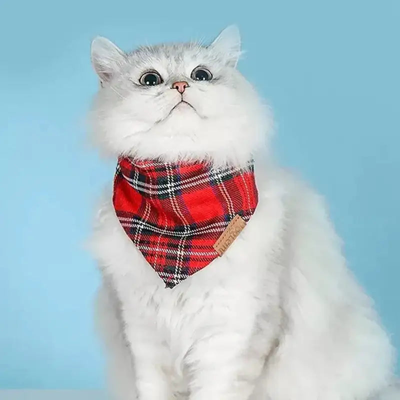 Yog!ssw - Pet Tartan Check Scarf - Jungle Monster - Pet - Harumio