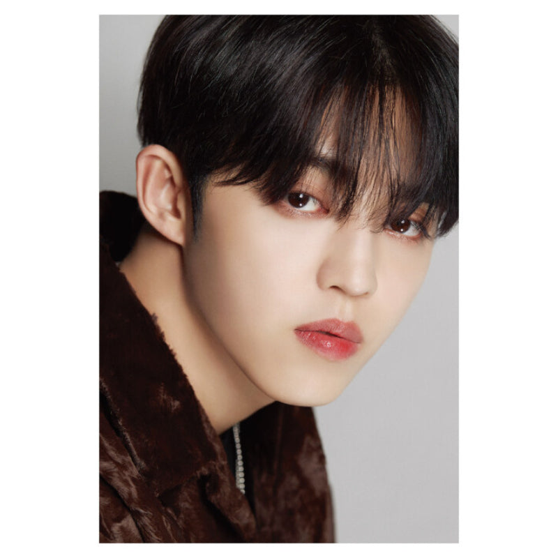 DICON - D’FESTA SEVENTEEN
