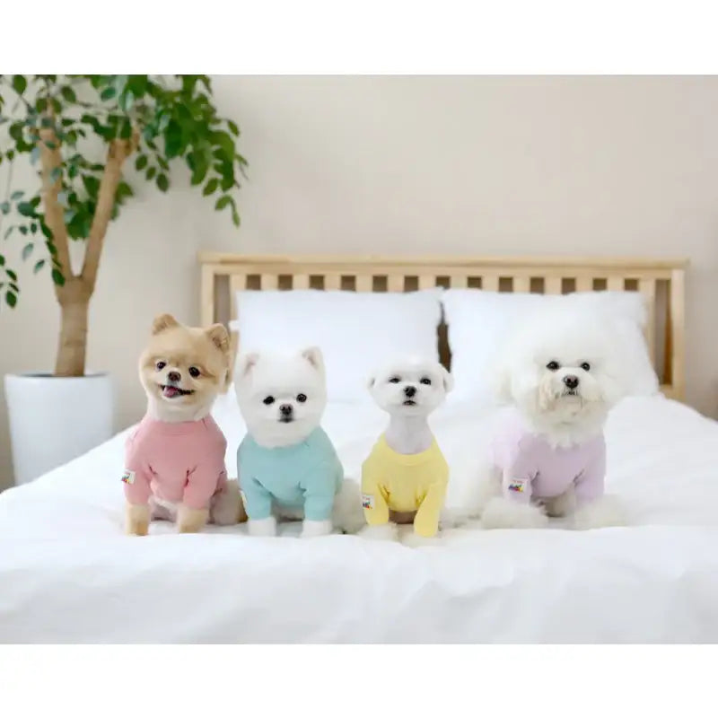 ITSDOG - Pet Jam Jam Fruits T-Shirt - ITSDOG - Pet Clothes - Harumio
