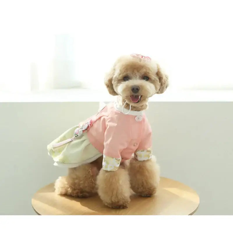 ITSDOG - Pet Sena Female Hanbok - ITSDOG - Pet Clothes - Harumio