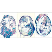 Libet - Transparent Illustration Of Unicorn Cards Set - Libet - Stationary - Harumio