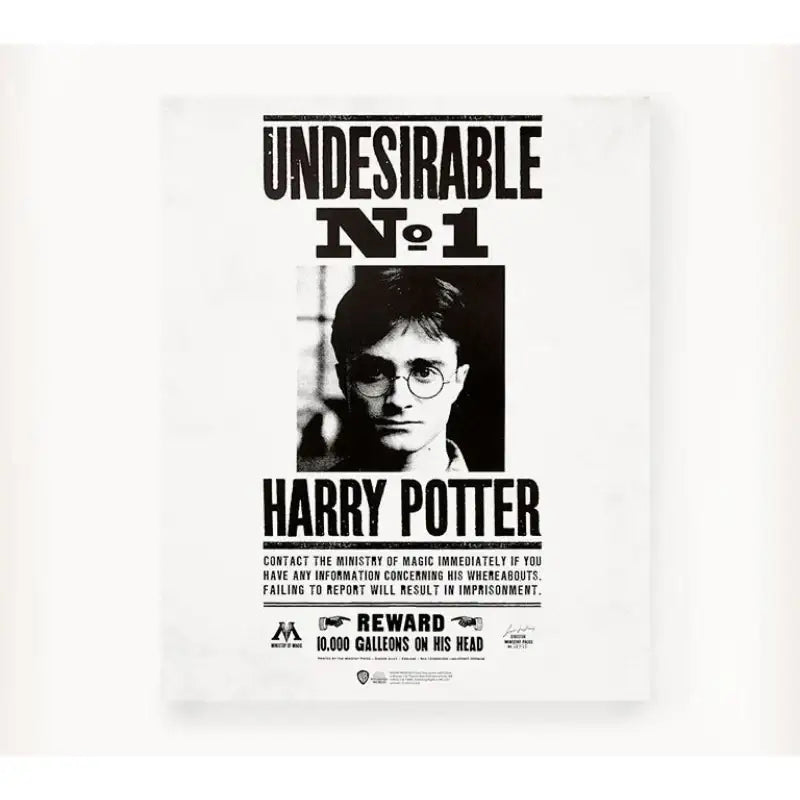 CGV - Harry Potter Poster Set - CGV - Poster - Harumio