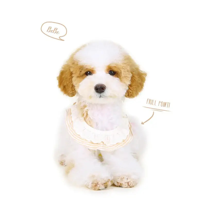 ITSDOG - Pet Organic Frill T-Shirt - ITSDOG - Pet Clothes - Harumio