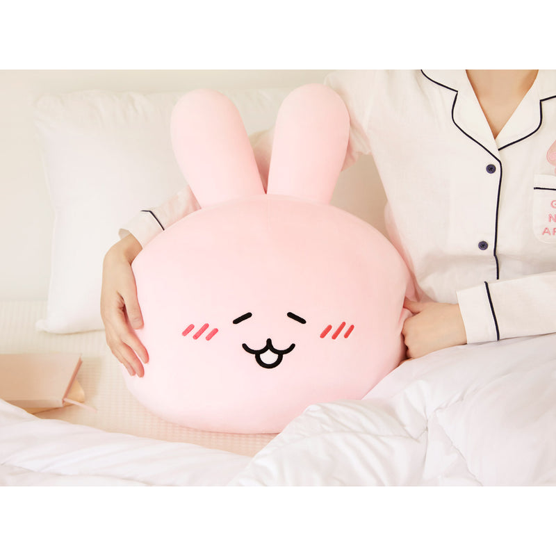Kakao Friends - Scappy Face Cushion