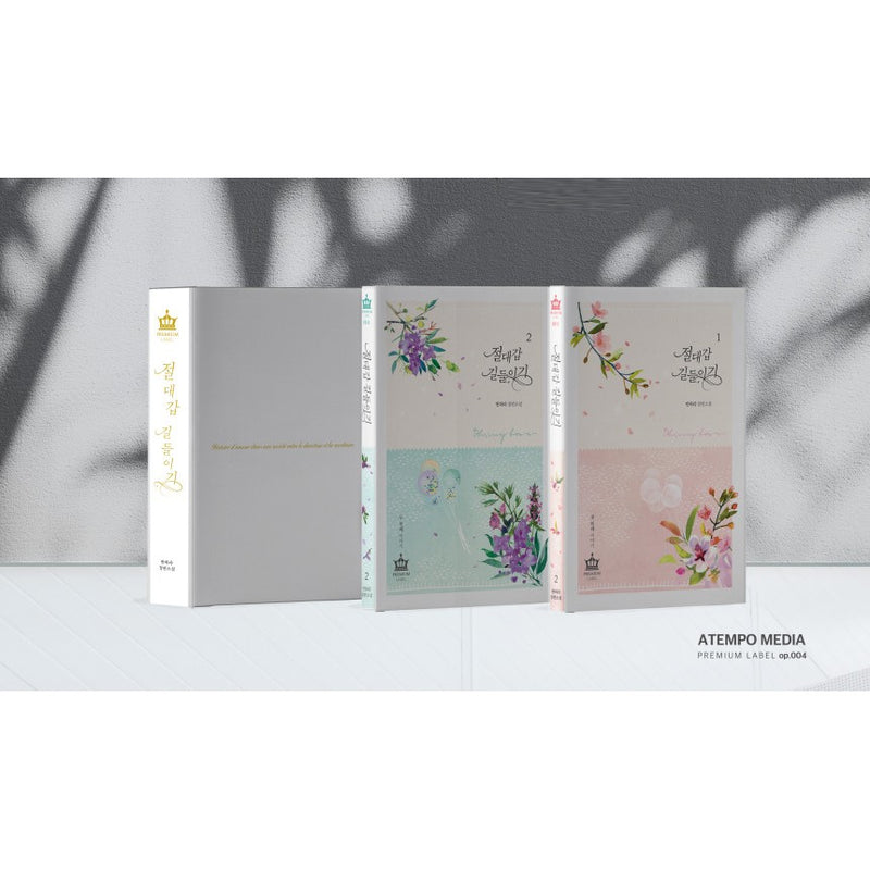 Taming the Absolute Armor Limited Edition Set - Manhwa