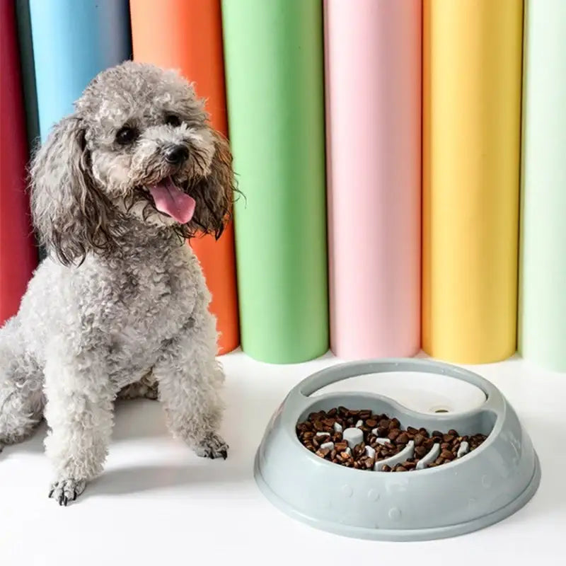 Yog!ssw - Pet Half-And-Half Bowl - Jungle Monster - Pet - Harumio