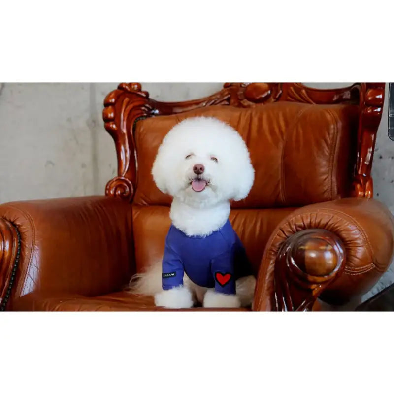 ITSDOG - Pet Ping Pong Heart T-Shirt - ITSDOG - Pet Clothes - Harumio