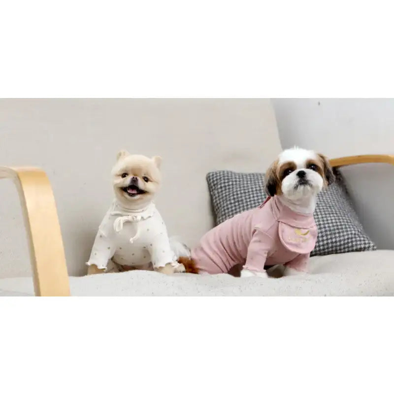 ITSDOG - Pet Gold Spoon All In One - ITSDOG - Pet Clothes - Harumio