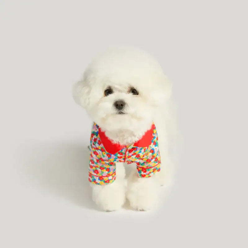 Wiggle Wiggle - Clumppy's Pet Pajamas - Wiggle Wiggle - Pet - Harumio
