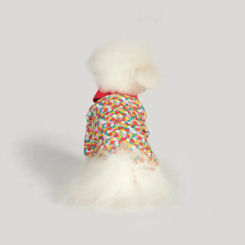 Wiggle Wiggle - Clumppy's Pet Pajamas - Wiggle Wiggle - Pet - Harumio