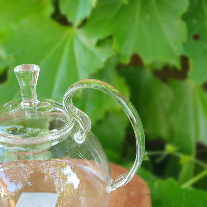Bosan Pottery - Glass Tube Triangle Teapot with Stainless Steel Sieve
