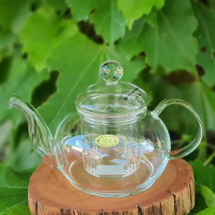 Bosan Pottery - Glass Tube Round Teapot with Sieve - Bosan Pottery - Home & Living, Accessories - Harumio