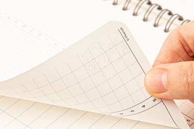 Peanuts x 10x10 - Study Planner
