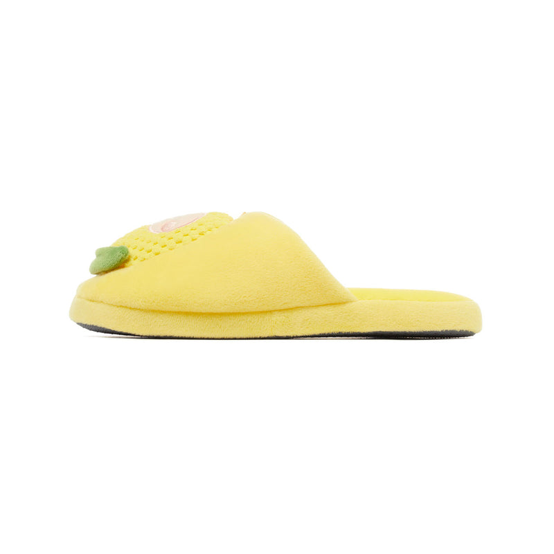 Kakao Friends - Harvest Blanket & Slippers Set