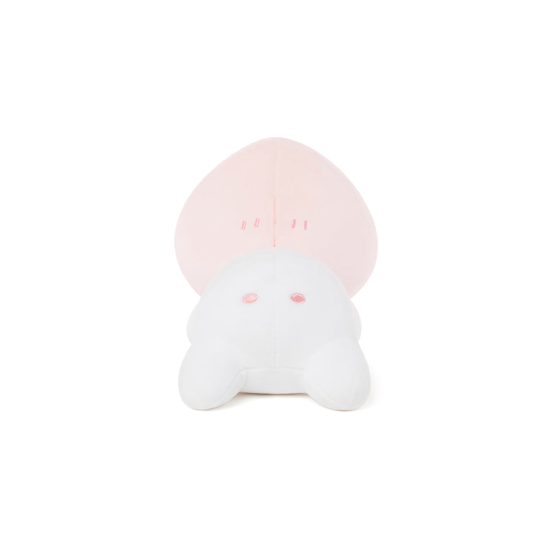 Kakao Friends - Sweet Box