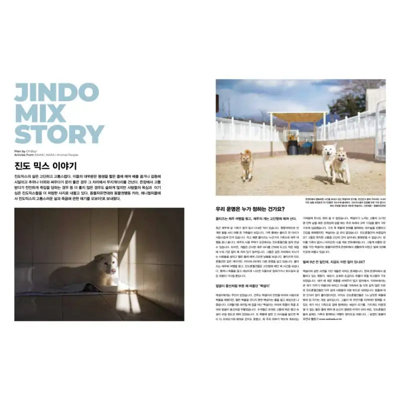 OhBoy! - No.109 - Magazine Cover Park Kyung Jin - Gooddog Publishing - Magazine - Harumio