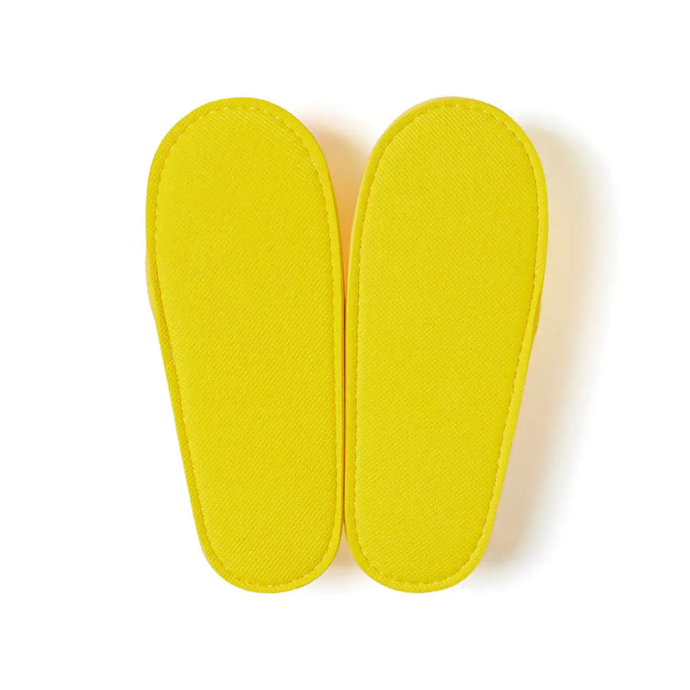 Kakao Friends - Ryan & Choonsik Jelly Indoor Slippers - Kakao Friends - Footwear - Harumio