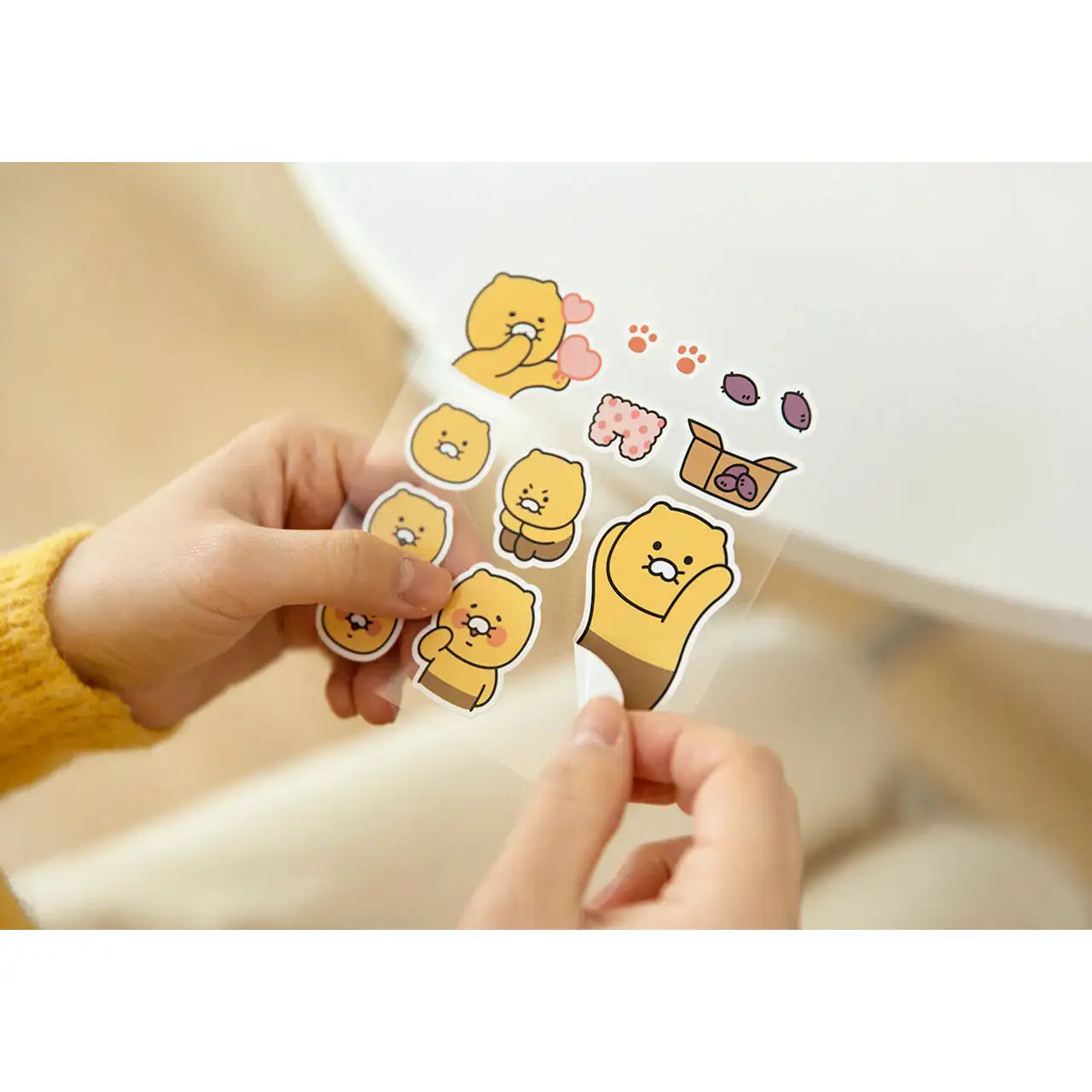 Kakao Friends - Choonsik Removable Sticker - Kakao Friends - Home & Living, Accessories - Harumio