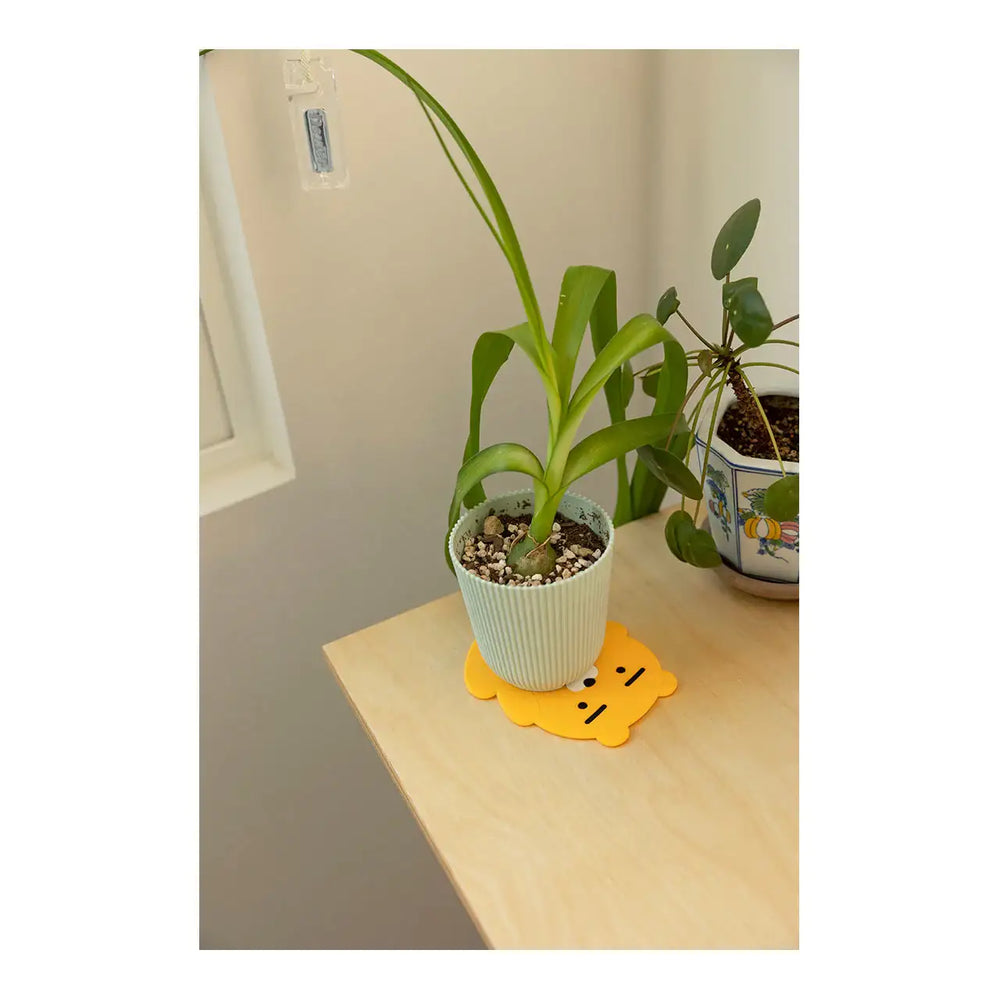Kakao Friends - Silicon Coaster - Kakao Friends - Home & Living, Accessories - Harumio