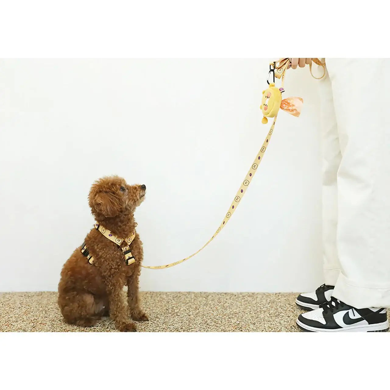 Kakao Friends - Choonsik Pet Lead Line - Kakao Friends - Home & Living, Accessories - Harumio