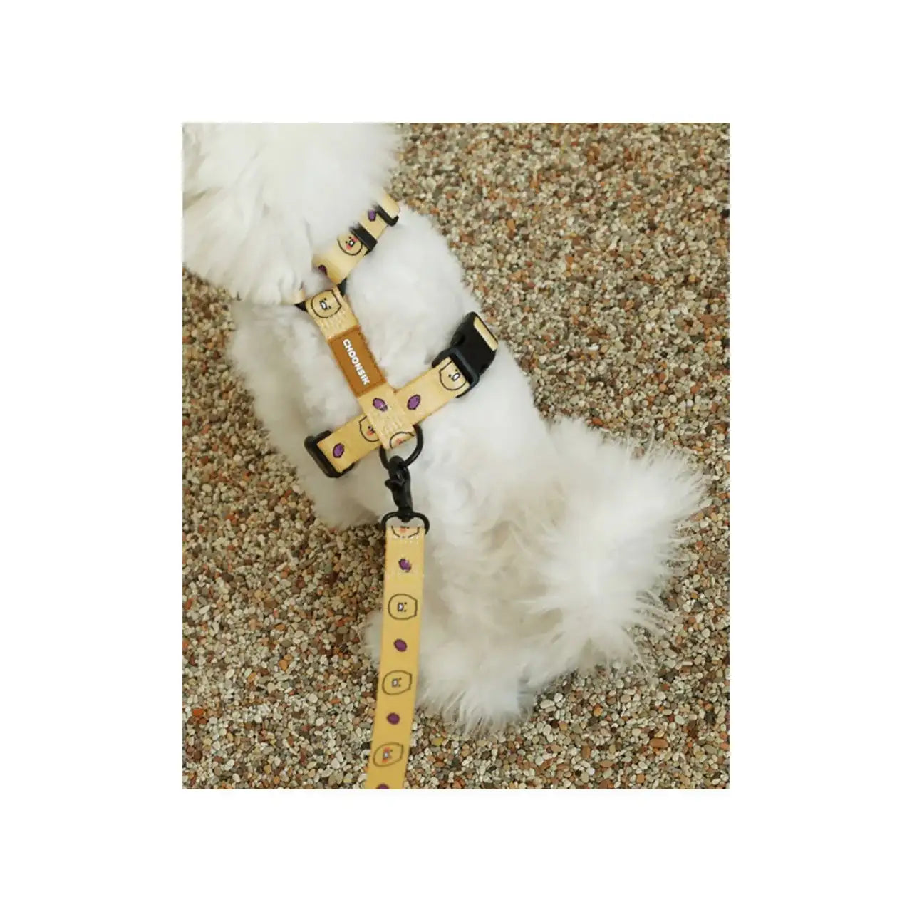 Kakao Friends - Choonsik Pet Lead Line - Kakao Friends - Home & Living, Accessories - Harumio