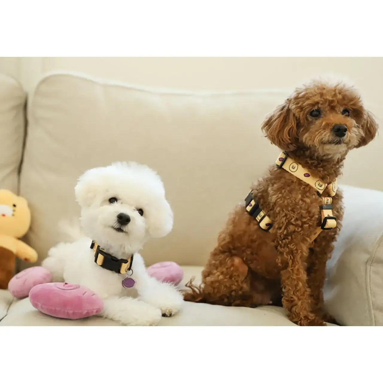 Kakao Friends - Choonsik Pet H-Type Harness - Kakao Friends - Home & Living, Accessories - Harumio