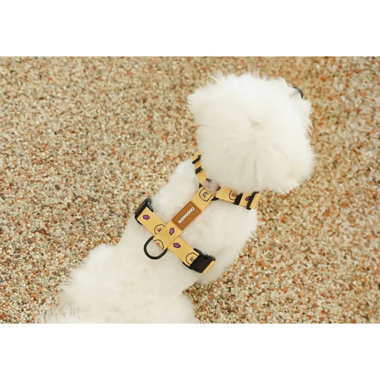 Kakao Friends - Choonsik Pet H-Type Harness - Kakao Friends - Home & Living, Accessories - Harumio