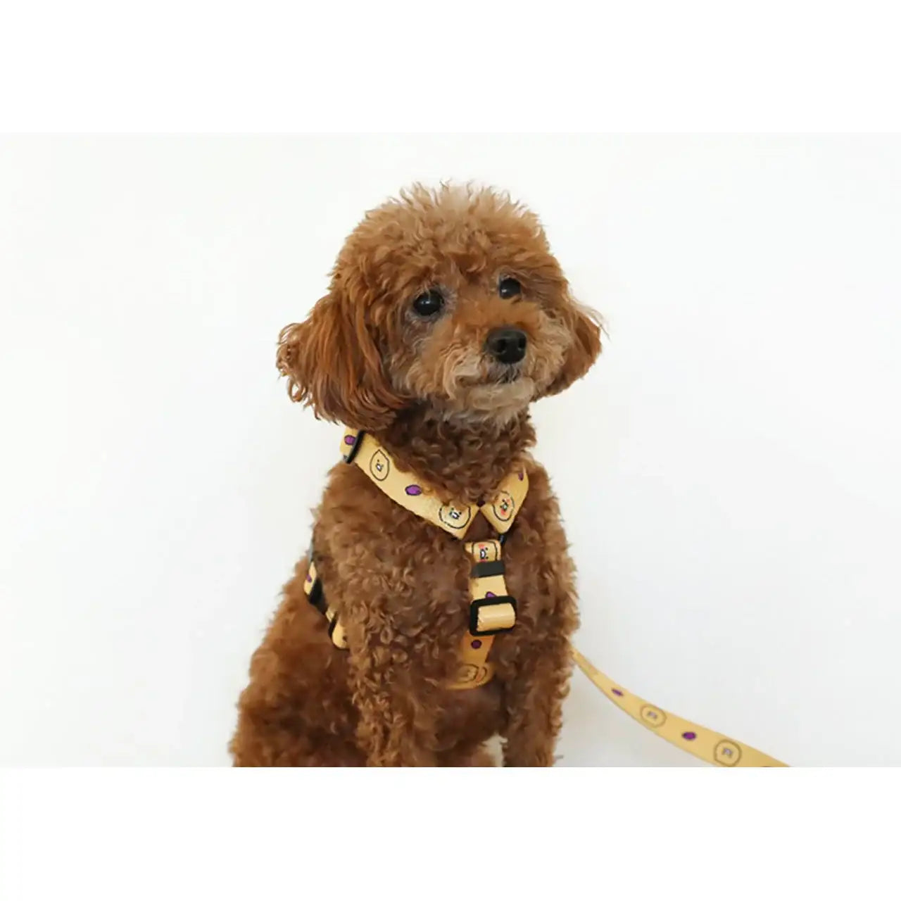 Kakao Friends - Choonsik Pet H-Type Harness - Kakao Friends - Home & Living, Accessories - Harumio